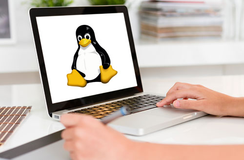 linux_arnes_iStock_000072622983_Large_500